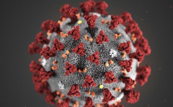 corona-virus